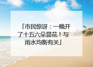 市民惊讶：一晚开了十五六朵昙花！与雨水均衡有关