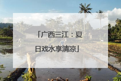 广西三江：夏日戏水享清凉