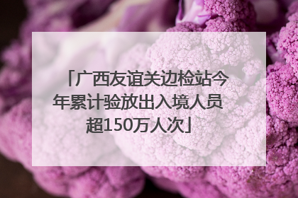 广西友谊关边检站今年累计验放出入境人员超150万人次