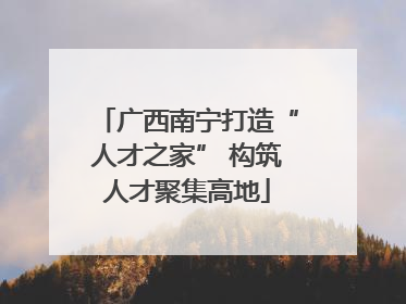 广西南宁打造“人才之家” 构筑人才聚集高地