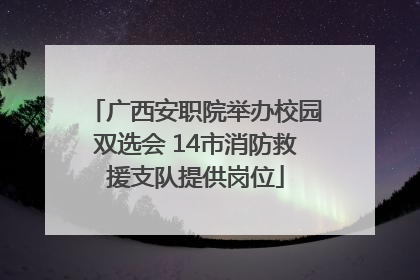 广西安职院举办校园双选会 14市消防救援支队提供岗位