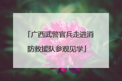 广西武警官兵走进消防救援队参观见学