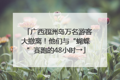 广西涠洲岛万名游客大撤离！他们与“蝴蝶”赛跑的48小时→