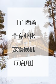 广西首个专业化宠物候机厅启用