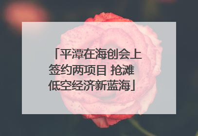 平潭在海创会上签约两项目 抢滩低空经济新蓝海