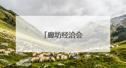 廊坊经洽会上逛车展