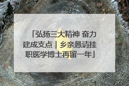 弘扬三大精神 奋力建成支点｜乡亲恳请挂职医学博士再留一年