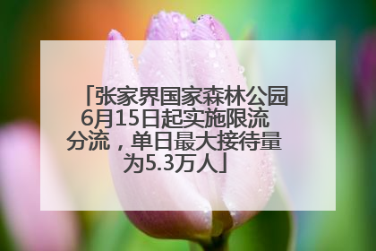 张家界国家森林公园6月15日起实施限流分流，单日最大接待量为5.3万人