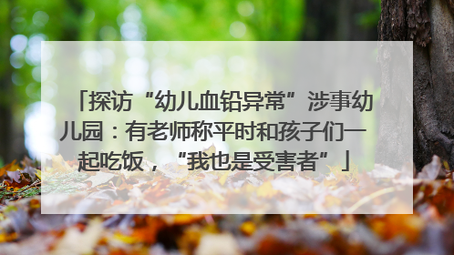 探访“幼儿血铅异常”涉事幼儿园：有老师称平时和孩子们一起吃饭，“我也是受害者”