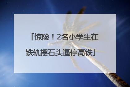 惊险！2名小学生在铁轨摆石头逼停高铁