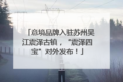意境品牌入驻苏州吴江震泽古镇，“震泽四宝”对外发布！