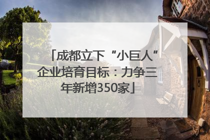成都立下“小巨人”企业培育目标：力争三年新增350家