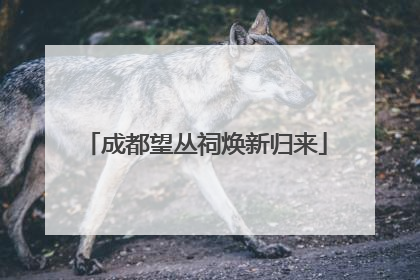 成都望丛祠焕新归来