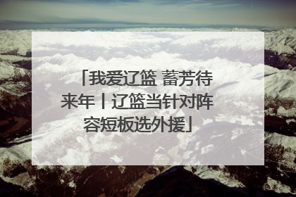 我爱辽篮 蓄芳待来年丨辽篮当针对阵容短板选外援