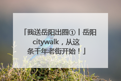 我送岳阳出圈①丨岳阳citywalk，从这条千年老街开始！