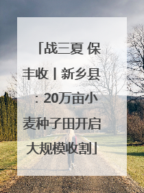 战三夏 保丰收丨新乡县：20万亩小麦种子田开启大规模收割
