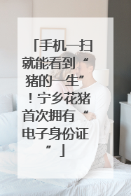手机一扫就能看到“猪的一生”！宁乡花猪首次拥有“电子身份证”