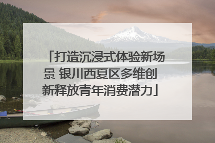 打造沉浸式体验新场景 银川西夏区多维创新释放青年消费潜力