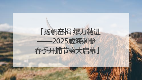 扬帆奋楫 缪力精进——2025威海刺参春季开捕节盛大启幕
