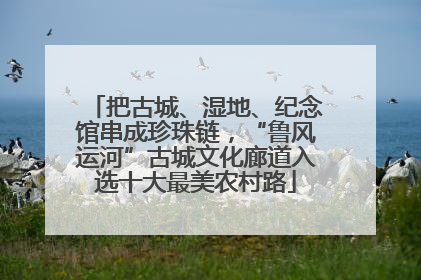 把古城、湿地、纪念馆串成珍珠链，“鲁风运河”古城文化廊道入选十大最美农村路
