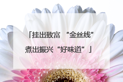 挂出致富 “金丝线” 煮出振兴“好味道”