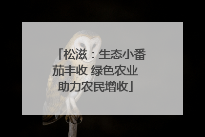 松滋：生态小番茄丰收 绿色农业助力农民增收