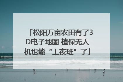 松阳万亩农田有了3D电子地图 植保无人机也能“上夜班”了