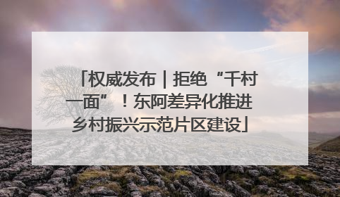 权威发布｜拒绝“千村一面”！东阿差异化推进乡村振兴示范片区建设