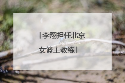 李翔担任北京女篮主教练