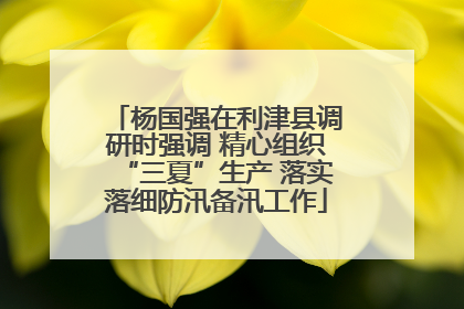 杨国强在利津县调研时强调 精心组织“三夏”生产 落实落细防汛备汛工作
