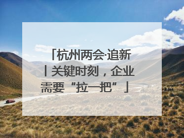 杭州两会·追新丨关键时刻，企业需要“拉一把”