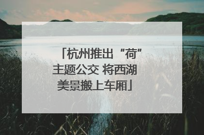 杭州推出“荷”主题公交 将西湖美景搬上车厢