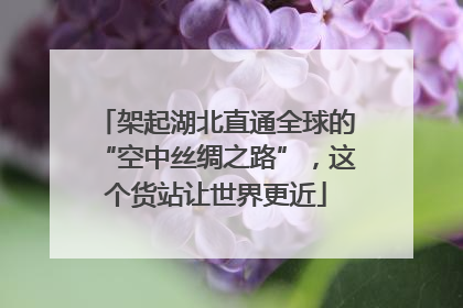 架起湖北直通全球的“空中丝绸之路”，这个货站让世界更近