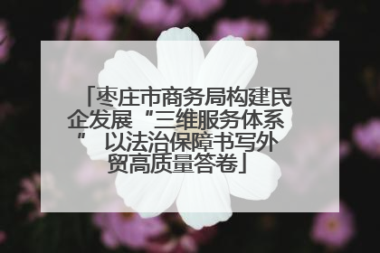 枣庄市商务局构建民企发展“三维服务体系” 以法治保障书写外贸高质量答卷