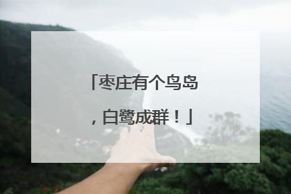 枣庄有个鸟岛，白鹭成群！