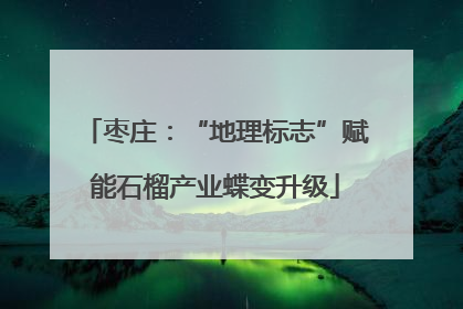 枣庄：“地理标志”赋能石榴产业蝶变升级
