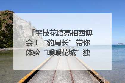 攀枝花馆亮相西博会！“豹局长”带你体验“暖暖花城”独特魅力｜西博视界