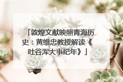 敦煌文献映照青海历史：黄维忠教授解读《吐谷浑大事纪年》