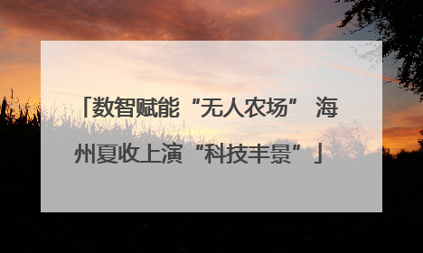 数智赋能“无人农场” 海州夏收上演“科技丰景”