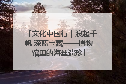 文化中国行｜浪起千帆 深蓝宝藏——博物馆里的海丝遗珍