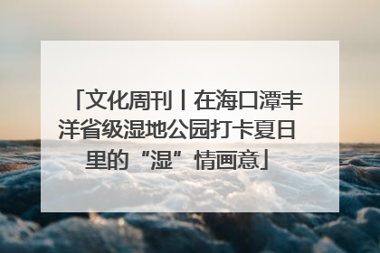 文化周刊丨在海口潭丰洋省级湿地公园打卡夏日里的“湿”情画意