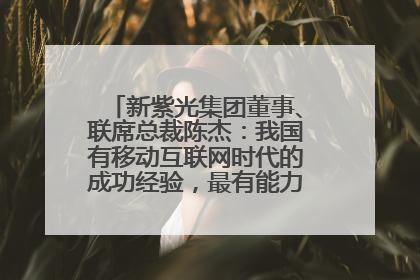 新紫光集团董事、联席总裁陈杰：我国有移动互联网时代的成功经验，最有能力做好AI应用创新