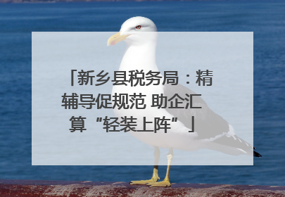 新乡县税务局：精辅导促规范 助企汇算“轻装上阵”