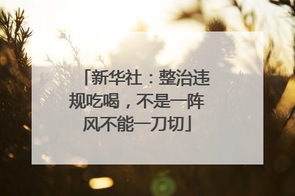 新华社：整治违规吃喝，不是一阵风不能一刀切
