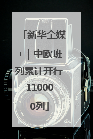 新华全媒+｜中欧班列累计开行110000列