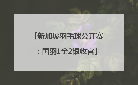 新加坡羽毛球公开赛：国羽1金2银收官