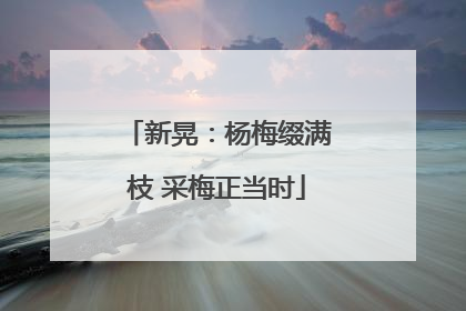 新晃：杨梅缀满枝 采梅正当时