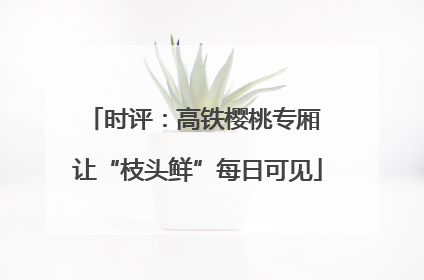 时评：高铁樱桃专厢 让“枝头鲜”每日可见