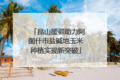 昆山援疆助力阿图什市盐碱地玉米种植实现新突破