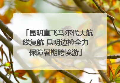 昆明直飞马尔代夫航线复航 昆明边检全力保障暑期跨境游